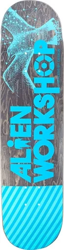 boardparadise-1202605130053563715989