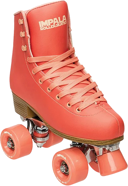 boardparadise-2202605150656564091881