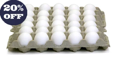flemingtraps202605021710201971392