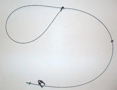 flemingtraps202605021718051975936